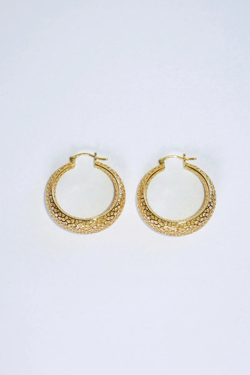 Portes du Palais™ Earrings